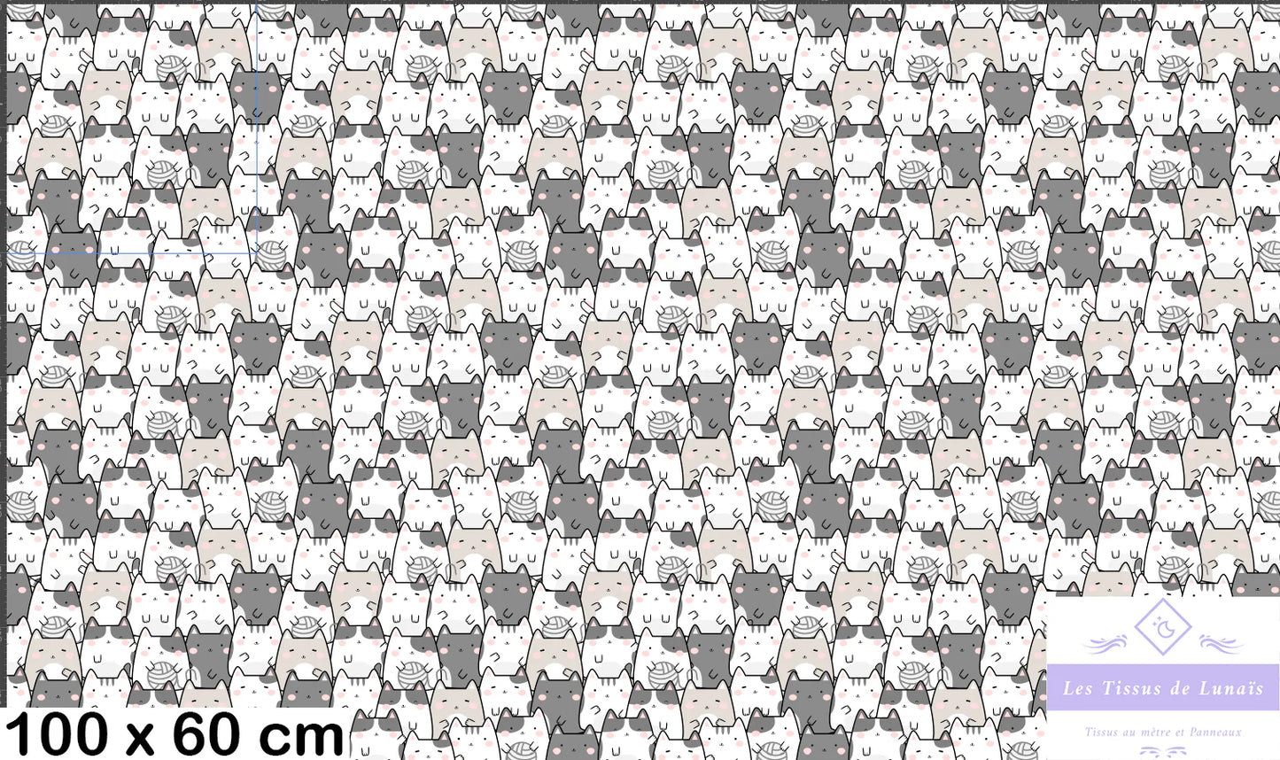 Tissu au mètre 19 chat- Disponible en 9 matières - Vendu par multiple de 50 cm