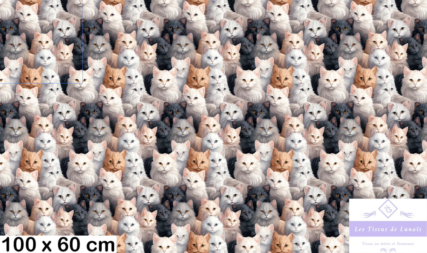 Tissu au mètre 21 chat- Disponible en 9 matières - Vendu par multiple de 50 cm