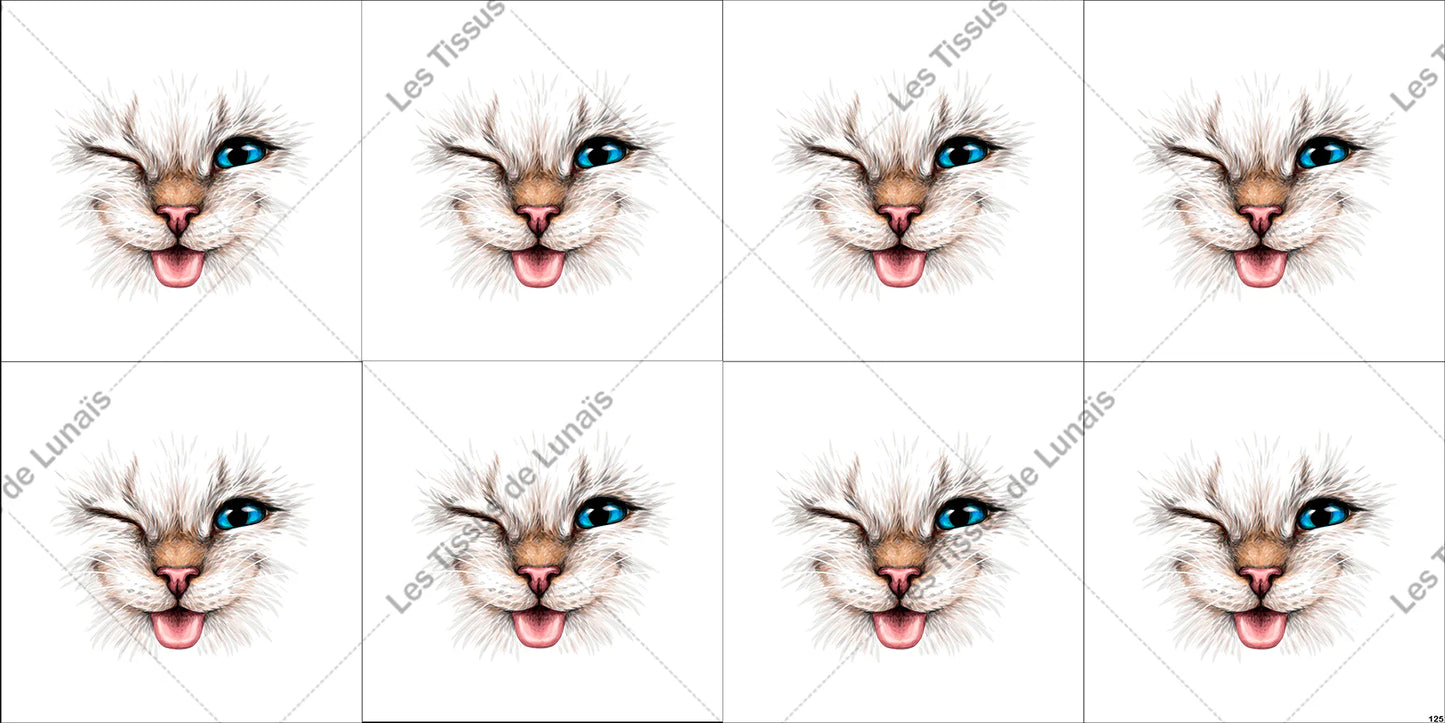 kit de 8 lingettes