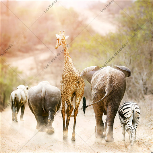 PANNEAU 202 animal éléphant savane - 9 matières - 7 dimensions - au choix - Idéal pour vos Créations Couture !