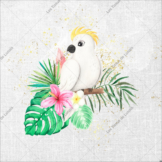 PANNEAU 268 oiseau perruche perroquet exotique - 9 matières - 7 dimensions - au choix - Idéal pour vos Créations Couture !