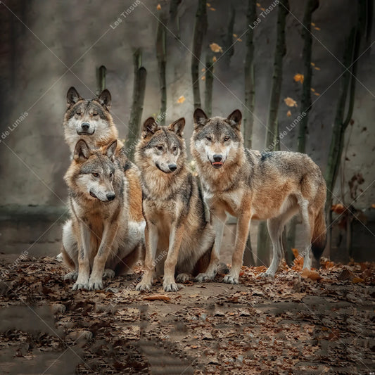 PANNEAU 317 animal loup - 9 matières - 7 dimensions - au choix - Idéal pour vos Créations Couture !