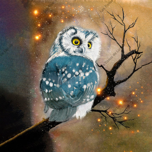 PANNEAU 323 oiseau hibou chouette - 9 matières - 7 dimensions - au choix - Idéal pour vos Créations Couture !