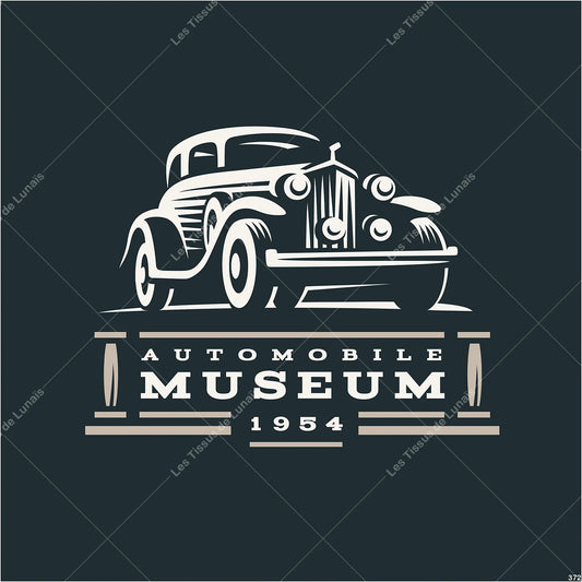 PANNEAU 372 homme automobile voiture collection - 9 matières - 7 dimensions - au choix - Idéal pour vos Créations Couture !