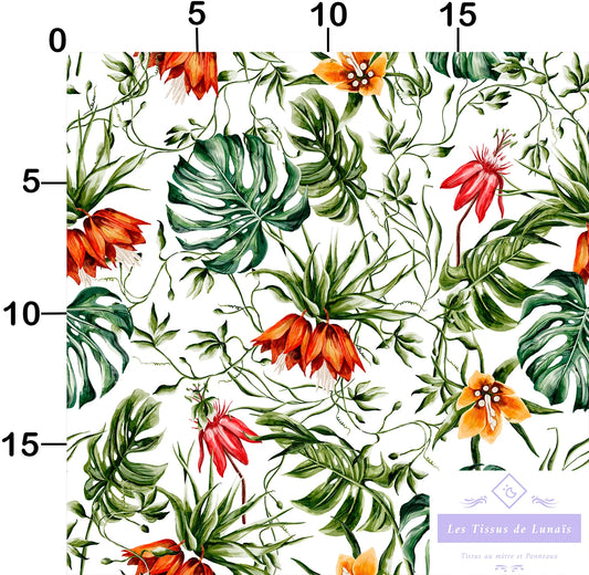 Tissu au mètre 115 fleur tropicale - Disponible en 9 matières - Vendu par multiple de 50 cm