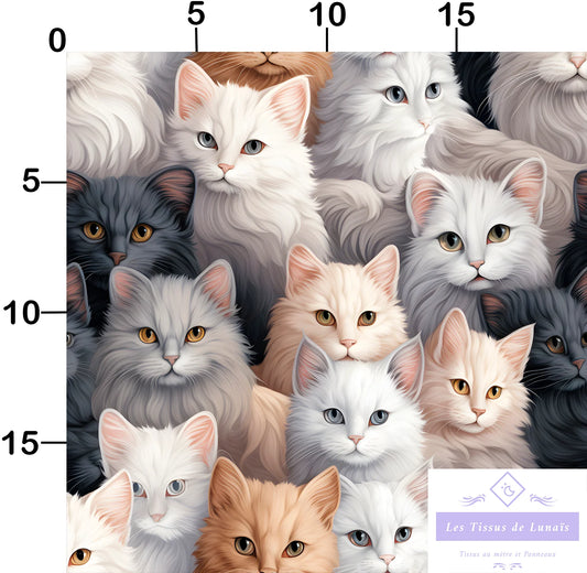 Tissu au mètre 21 chat- Disponible en 9 matières - Vendu par multiple de 50 cm
