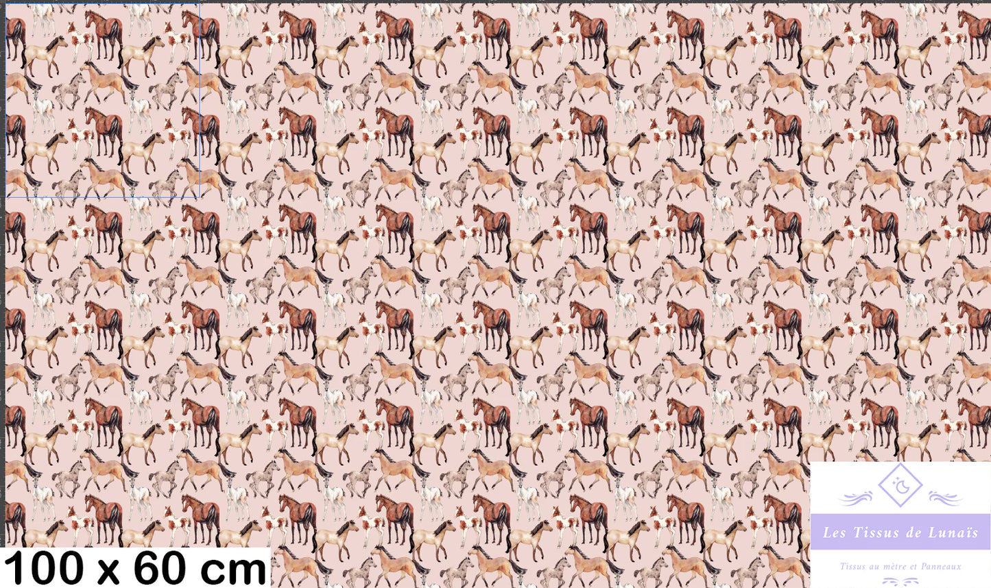 Tissu au mètre 218 chevaux equitation - Disponible en 9 matières - Vendu par multiple de 50 cm