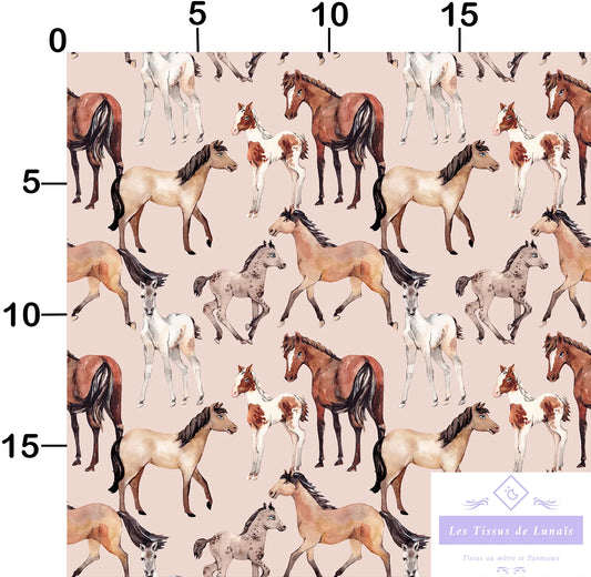 Tissu au mètre 218 chevaux equitation - Disponible en 9 matières - Vendu par multiple de 50 cm