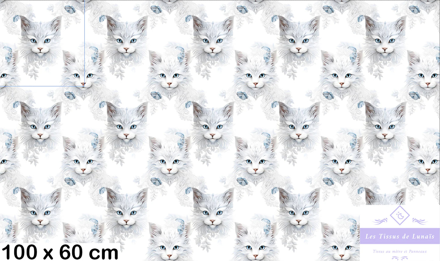 Tissu au mètre 22 chat- Disponible en 9 matières - Vendu par multiple de 50 cm