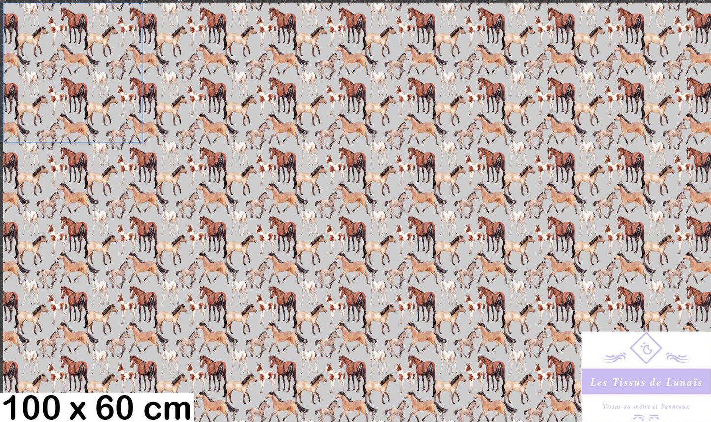 Tissu au mètre 221 chevaux equitation - Disponible en 9 matières - Vendu par multiple de 50 cm