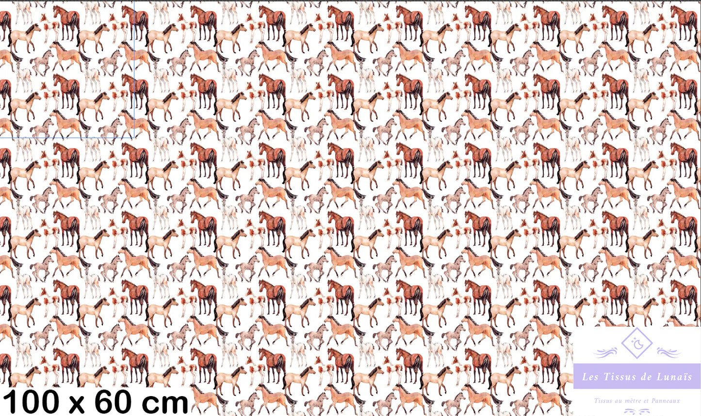 Tissu au mètre 27 chevaux equitation - Disponible en 9 matières - Vendu par multiple de 50 cm
