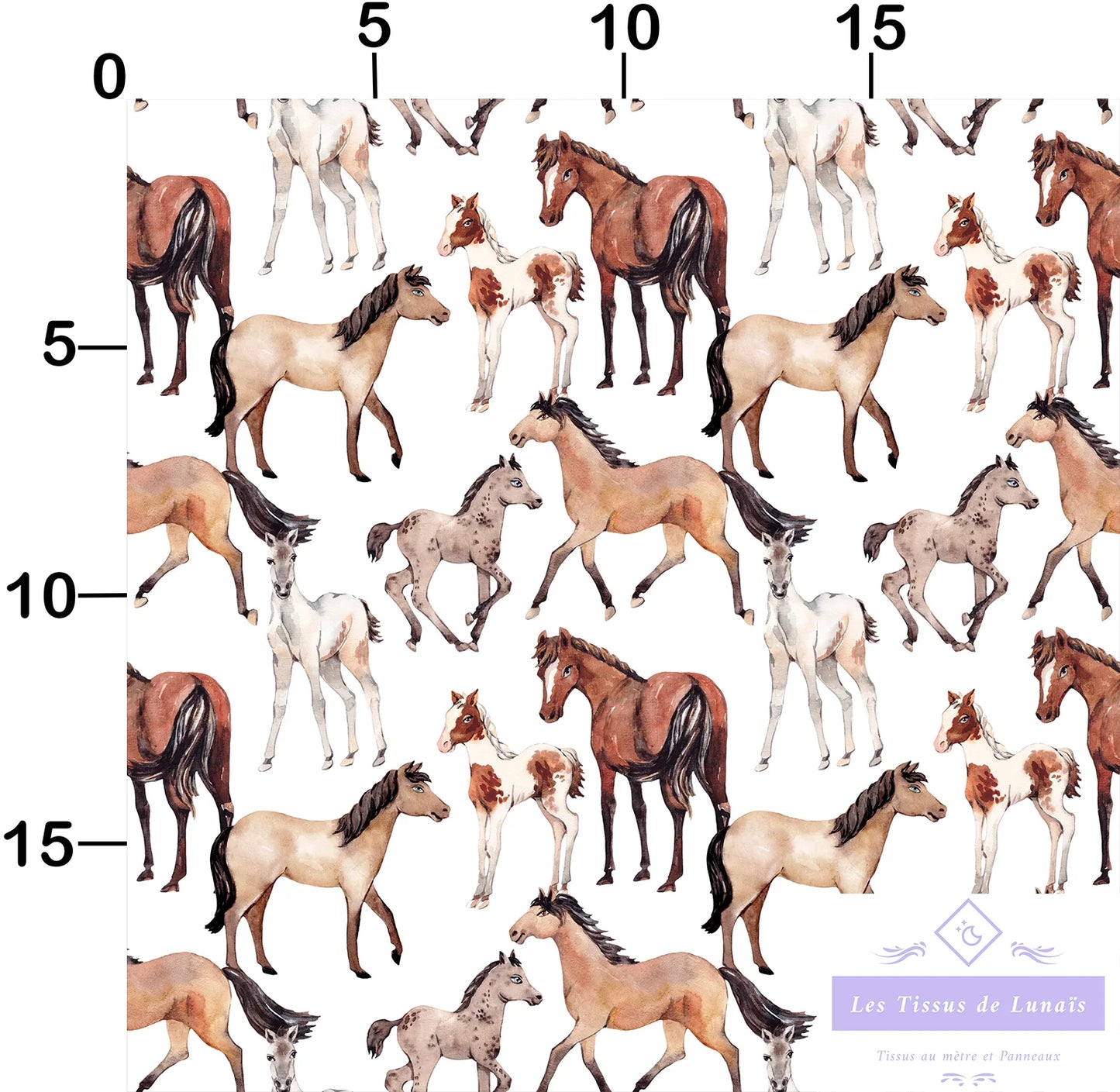 Tissu au mètre 27 chevaux equitation - Disponible en 9 matières - Vendu par multiple de 50 cm
