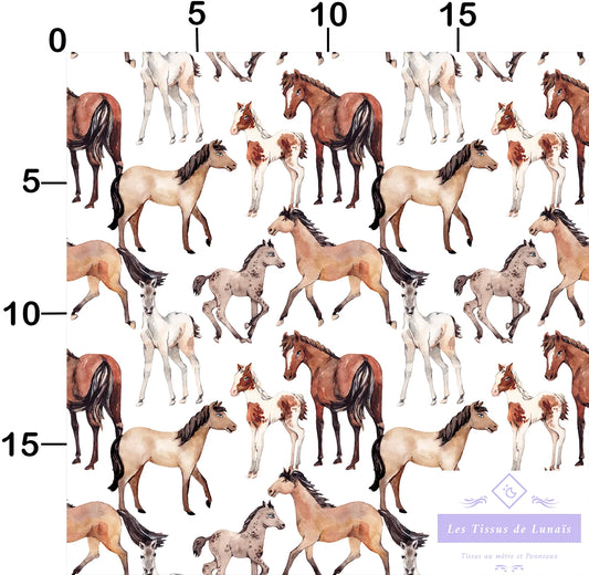 Tissu au mètre 27 chevaux equitation - Disponible en 9 matières - Vendu par multiple de 50 cm
