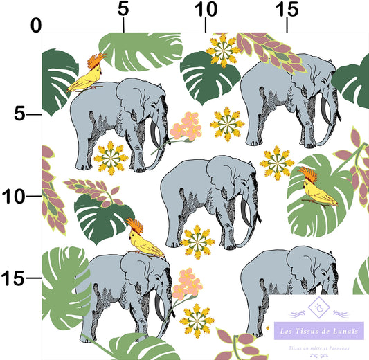 Tissu au mètre 301 éléphant - Disponible en 9 matières - Vendu par multiple de 50 cm