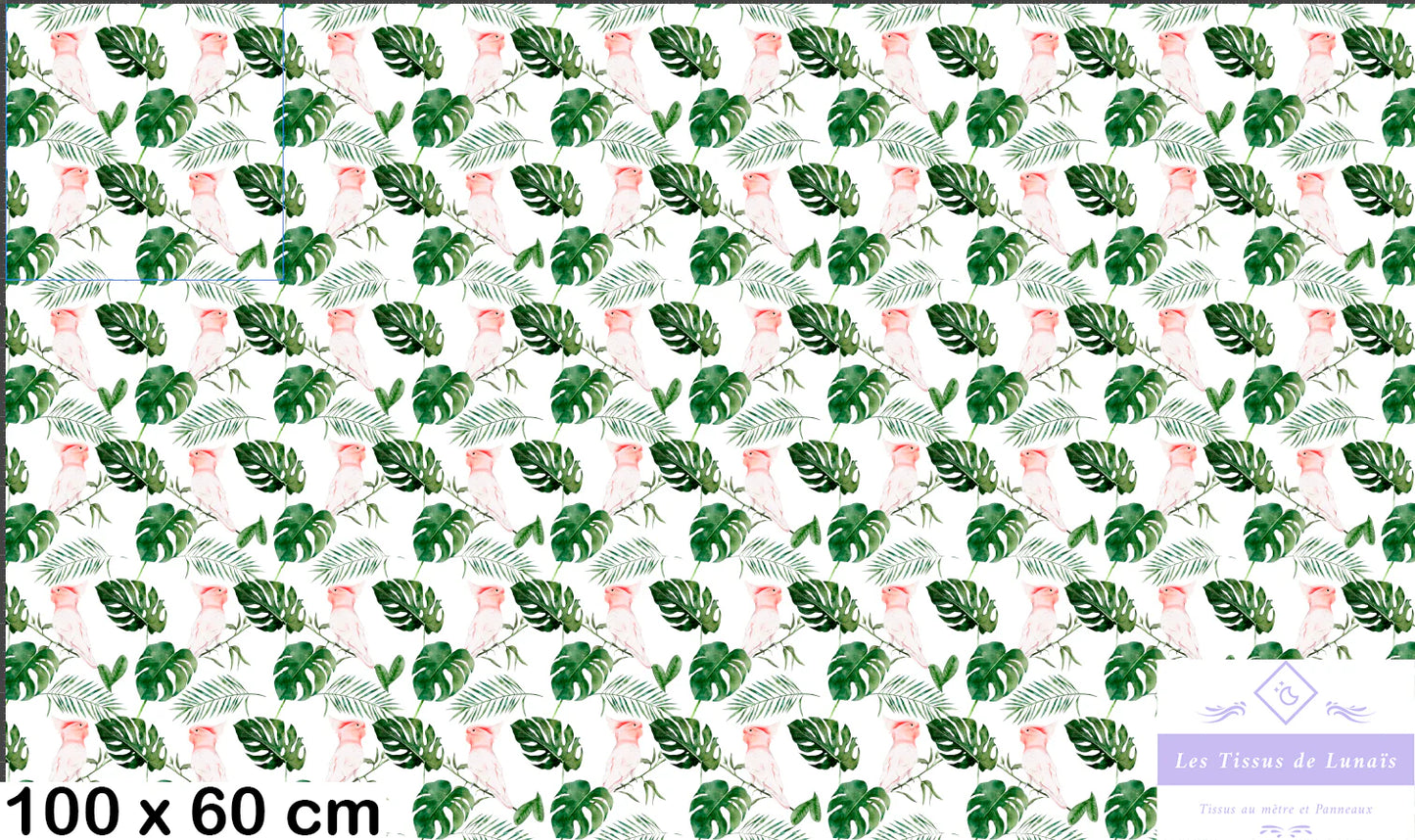 Tissu au mètre 321 oiseaux - Disponible en 9 matières - Vendu par multiple de 50 cm