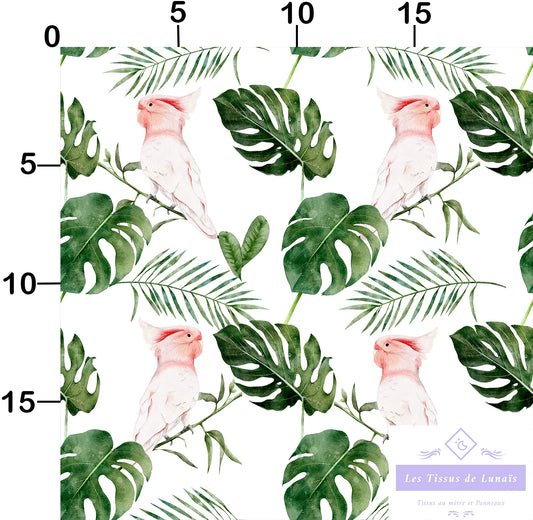 Tissu au mètre 321 oiseaux - Disponible en 9 matières - Vendu par multiple de 50 cm