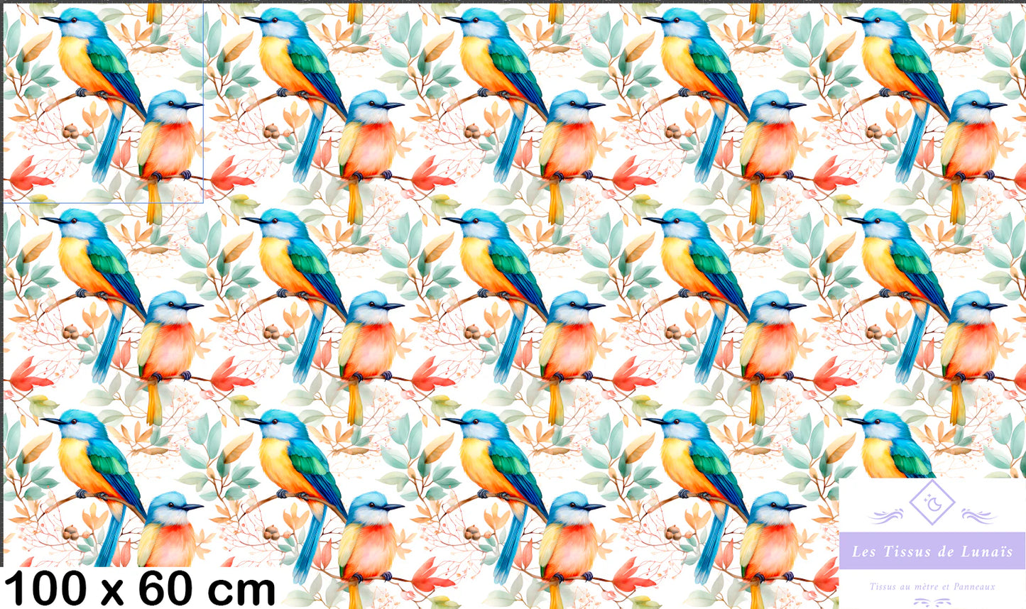 Tissu au mètre 54 oiseaux - Disponible en 9 matières - Vendu par multiple de 50 cm
