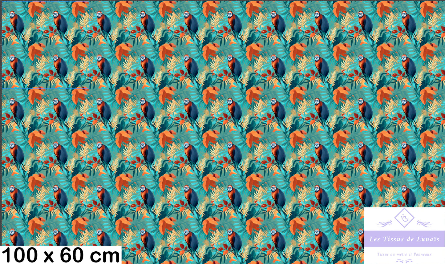 Tissu au mètre 60 singes - Disponible en 9 matières - Vendu par multiple de 50 cm
